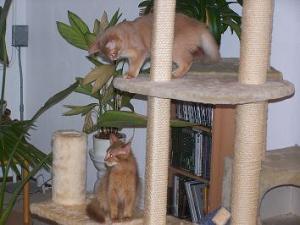 Ira und Nefer